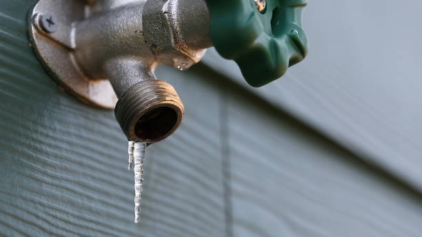 Best Local Plumber Services  in Arlington, OH